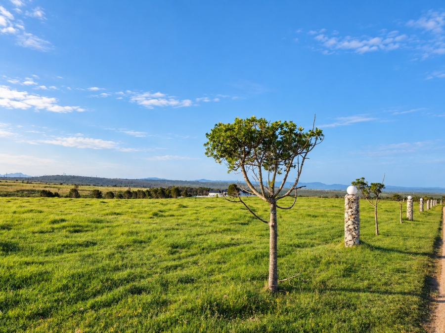 0 Bedroom Property for Sale in Kabeljauws Eastern Cape